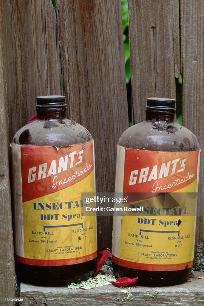 Ddt Label Ddt Bottle Insecticide (DDT) Jack Caravanos