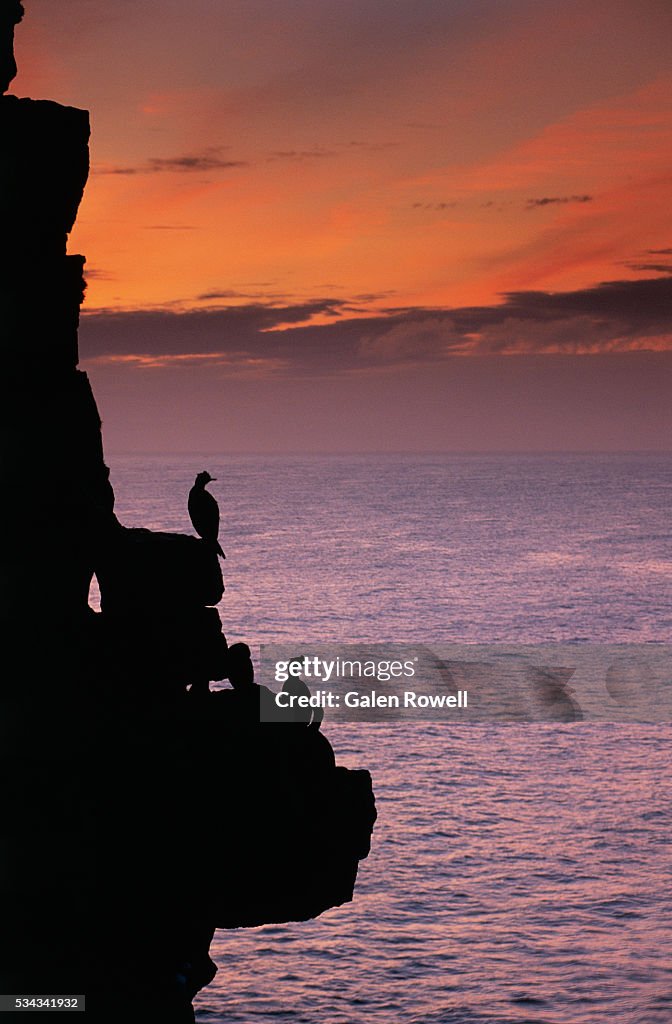 Pribilof Islands at Dawn