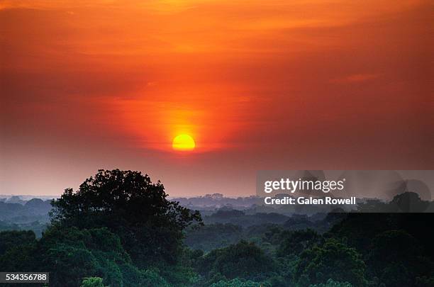 sunrise over the amazon river basin - amazonas stock-fotos und bilder