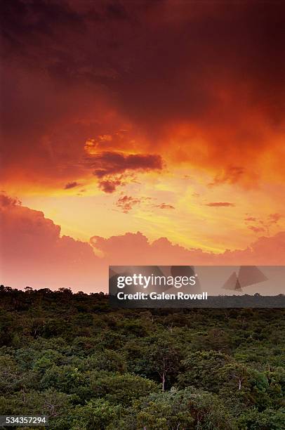 storm clouds gathering over amazon basin - amazon rainforest stockfoto's en -beelden