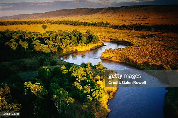 river in masai mara national reserve - africa landscape stock pictures, royalty-free photos & images