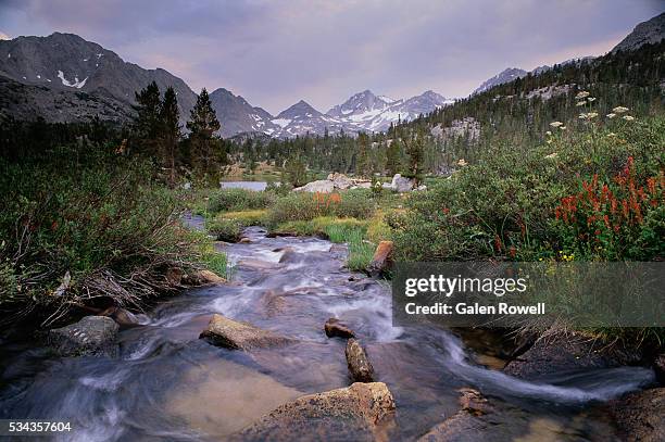 brook flowing beneath bear creek spire - inyo national forest stock pictures, royalty-free photos & images