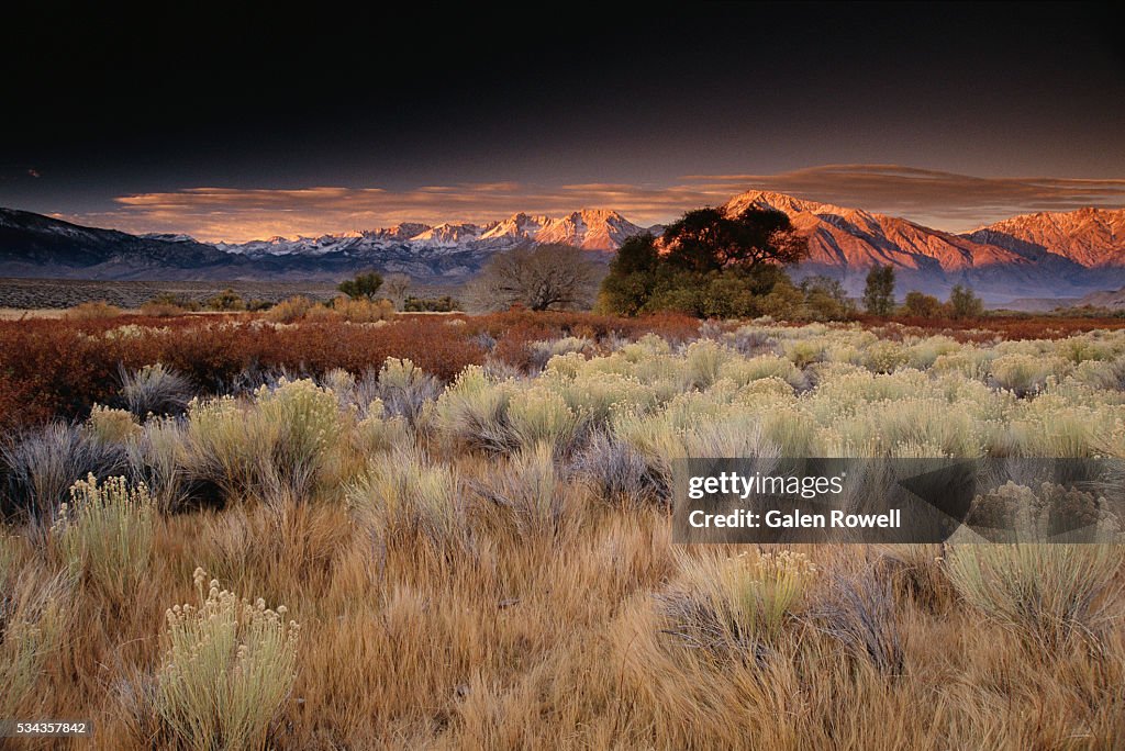 Dawn in Owens Valley