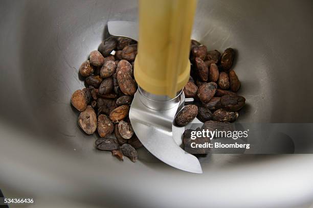 An employee puts cocoa beans into a cocoa grinder at a Hiratsuka Confectionery Co. Factory in Soka City, Saitama Prefecture, Japan, on Friday, April...