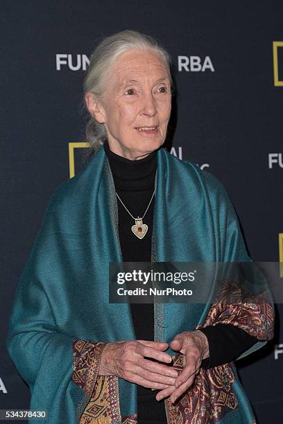 The renowned primatologist Dr. Jane Goodall, offers a lecture at the Casino Madrid, Spain, on May 25, 2016.