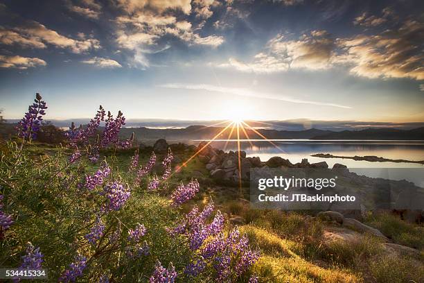 sunrise over millerton lake - fresno california fotografías e imágenes de stock