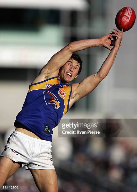 Tyson Stenglein for the Eagles drops a mark during the round twenty one AFL match between the Geelong Cats and the West Coast Eagles at Skilled...