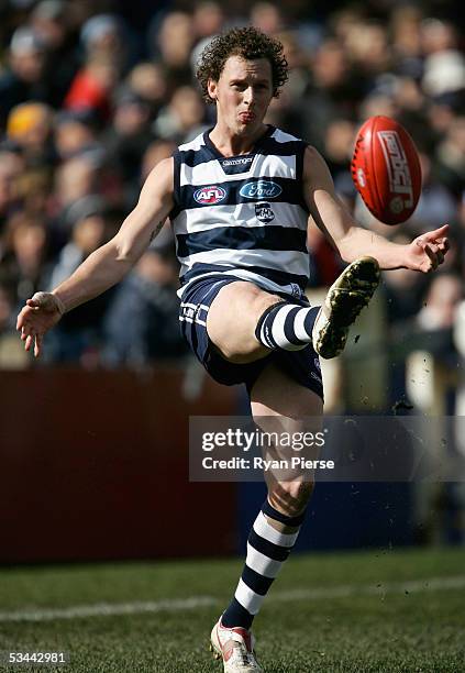 James Kelly for the Cats in action during the round 21 AFL match between the Geelong Cats and the West Coast Eagles at Skilled Stadium on August 20,...