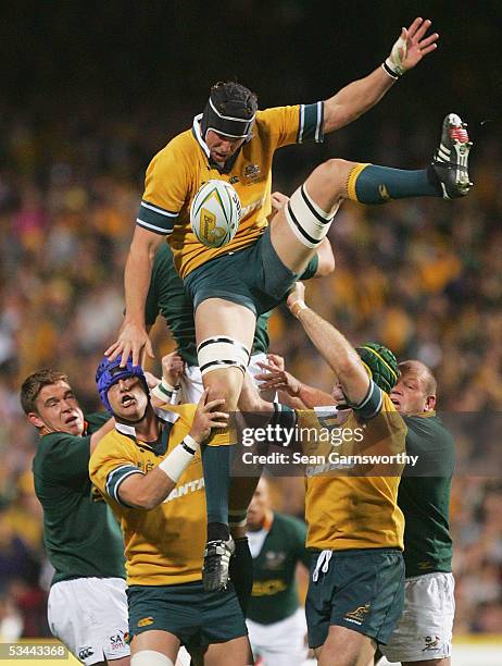 Daniel Vickerman for Australia in action during the Tri-Nations test match between Australian Wallabies and South African Springbocks held at Subiaco...