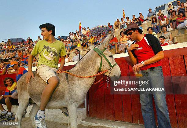 Donkey Rodeo 238 Rodeo Fiesta Stock Photos, High-Res Pictures, and Images - Getty Images