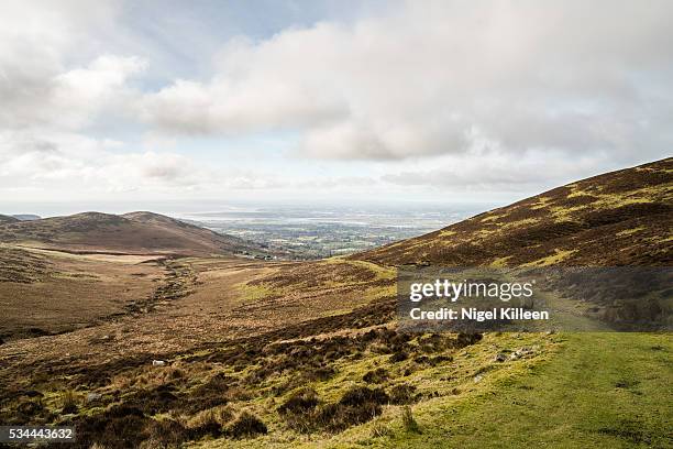 cooley mountains, louth, ireland - cooley mountains stock pictures, royalty-free photos & images
