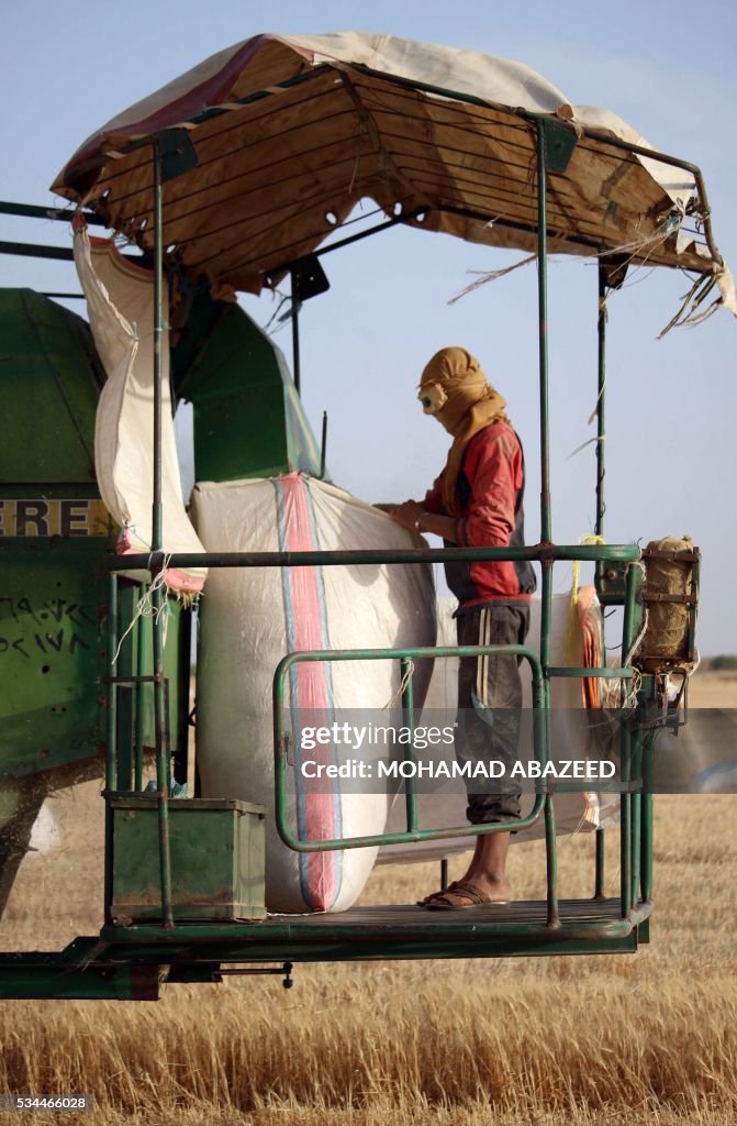 SYRIA-CONFLICT-AGRICULTURE-HARVEST