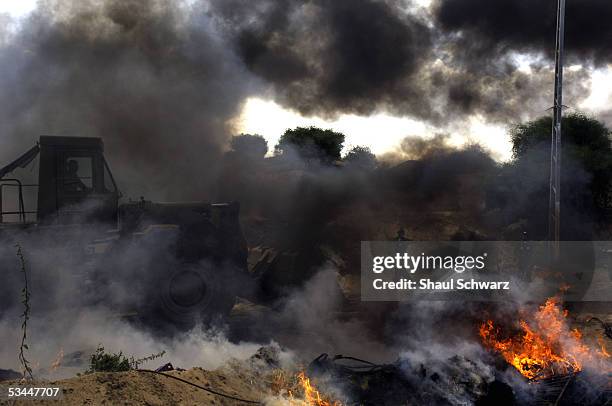 Kitif 3,917 Katif Photos & High Res Pictures - Getty Images