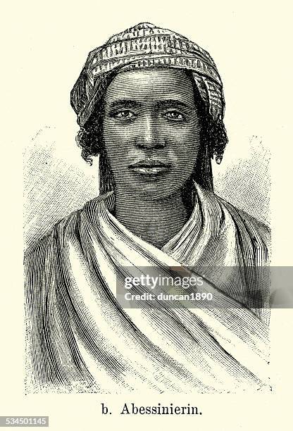 19th century abyssinian - abyssinian cat stock illustrations