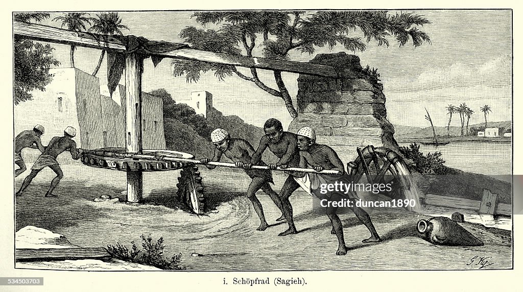 19th Century Egypt - Irrigation system