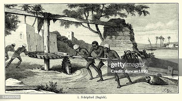 19th century egypt - irrigation system - nile river agriculture stock illustrations