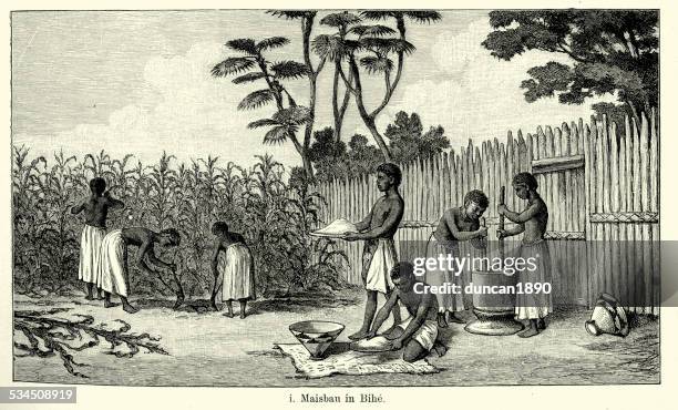 19th century angola - maize cultivation - grinding stock illustrations