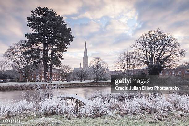 a frosty dawn in front of salisbury cathedral, uk - salisbury fotografías e imágenes de stock