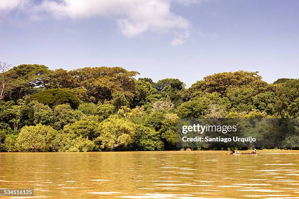 pirogue traversing lake tana - lake tana stock pictures, royalty-free photos & images