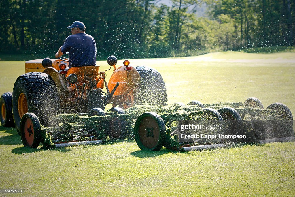 Reel Type Gang Mowers Cutting Grass High-Res Stock Photo - Getty