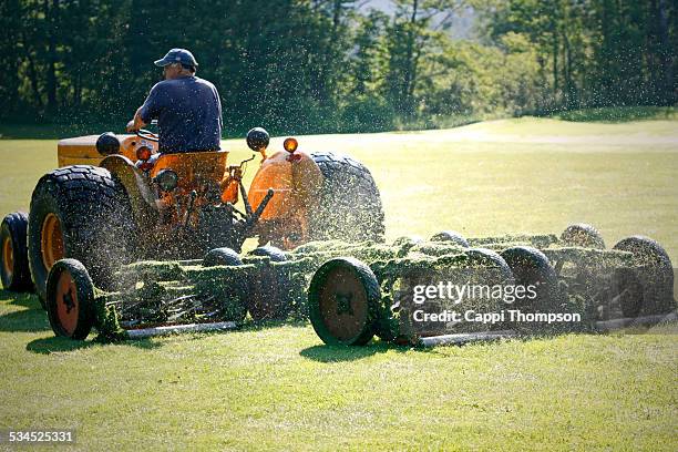 reel type gang mowers cutting grass - golf greenskeeper stock pictures, royalty-free photos & images