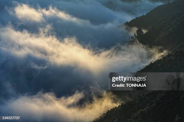 foggy morning - yunnan province stock pictures, royalty-free photos & images