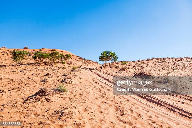 'big red' simpson desert sand dune - simpson desert stock-fotos und bilder