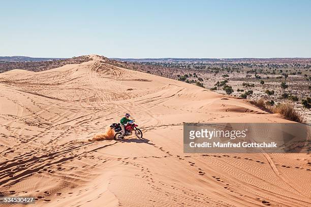 motorcyclist on the 'big red' - simpson desert imagens e fotografias de stock