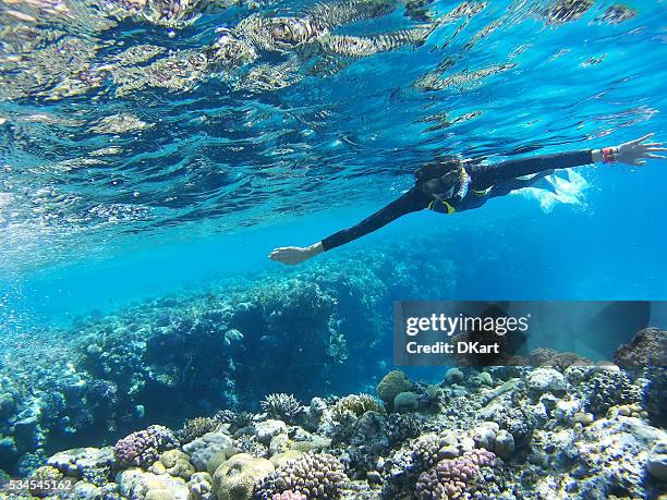 diver in deep blue sea - deep sea diving stockfoto's en -beelden