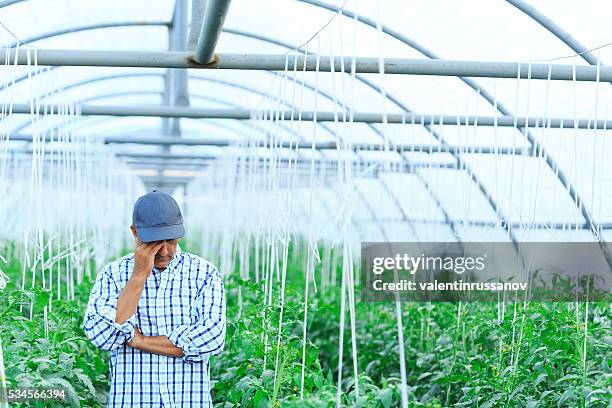 Spring Farm Sad Sad Farm Photos and Premium High Res Pictures - Getty Images