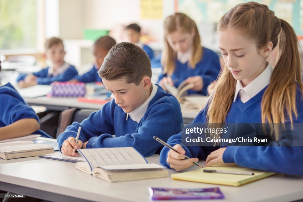 Elementary school children working at desk in classroom during lesson