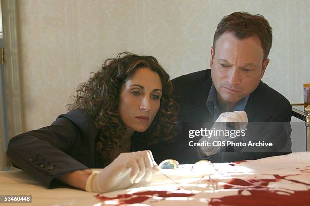 Academy Award-nominee, Golden Globe and Emmy Award-winner Gary Sinise and Emmy Award-nominee Melina Kanakaredes star in CSI: NY, a crime drama,...