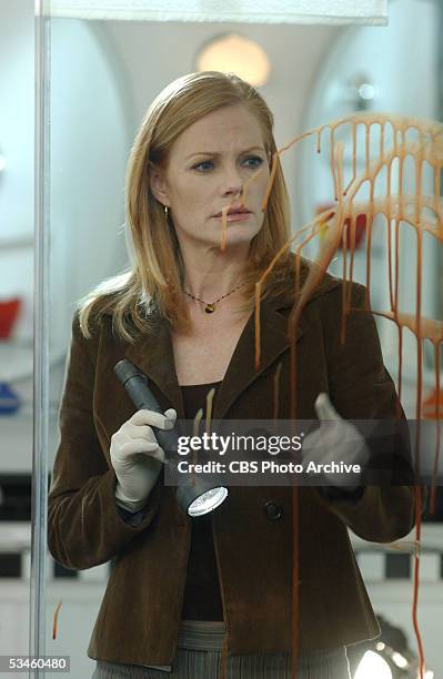Butterflied" -- Catherine works on a double homicide investigation where the victim has eerie similarities to Sara , on CSI: CRIME SCENE...