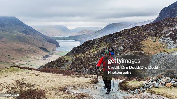 climber in lake district - haystacks lake district stock pictures, royalty-free photos & images