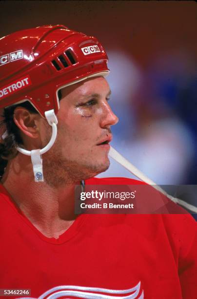 Canadian hockey player Bob Probert of the Detroit Red Wings on the ice, October 1990.