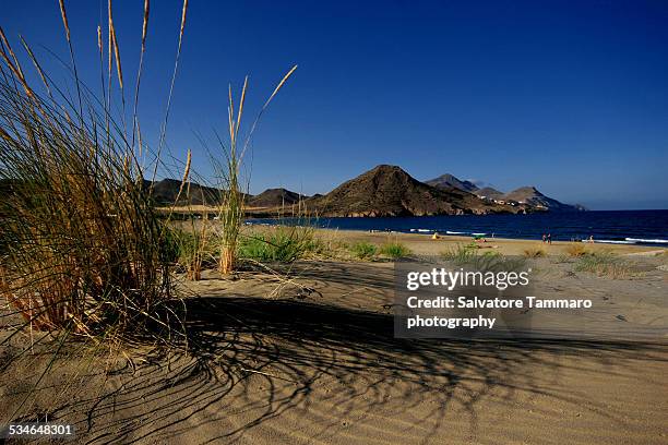 cabo devgata - cabo de gata fotografías e imágenes de stock