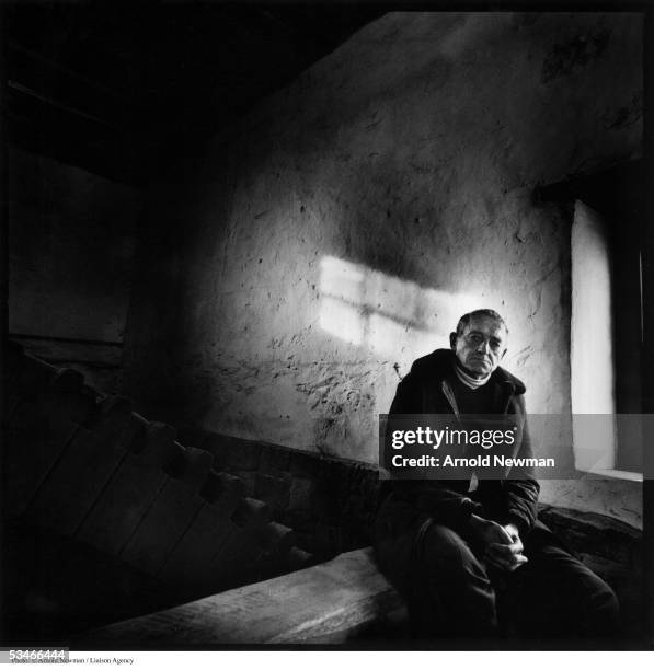 American painter Andrew Wyeth poses for portrait December 2, 1976 in Chadds Ford, Pennsylvania.