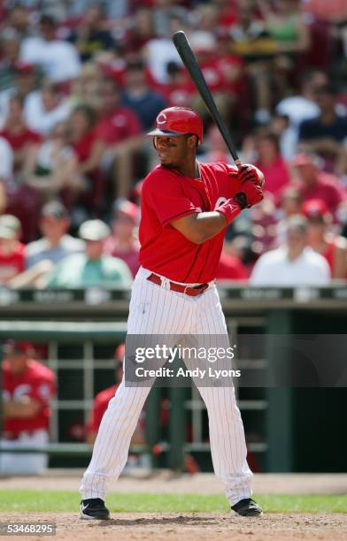 Ken Griffey Jr. #30 of the Cincinnati Reds at bat against the Arizona Diamondbacks during the MLB game on August 21, 2005 at Great American Ballpark...