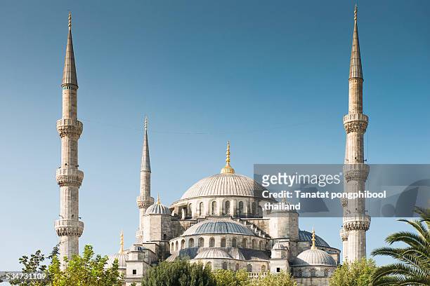 blue mosque in istanbul, turkey - große moschee stock-fotos und bilder