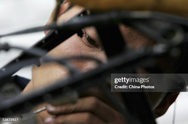 Chinese farmer Wang Qingliang checks parts of his home-made plane at the Fenghuangtuo Village on August 26, 2005 in Xiangshui Township of Gongzhuling...