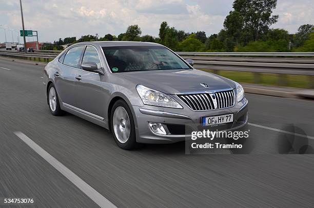 hyundai equus – blinde pferde in bewegung - pferdeartige stock-fotos und bilder