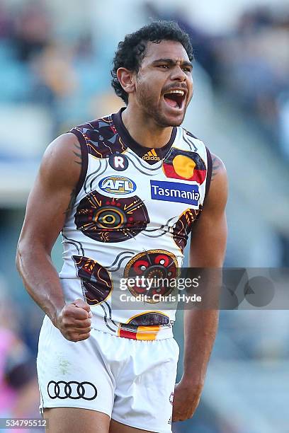 Cyril Riolo of the Hawks celebrates a goal during the round 10 AFL match between the Brisbane Lions and the Hawthorn Hawks at The Gabba on May 28,...