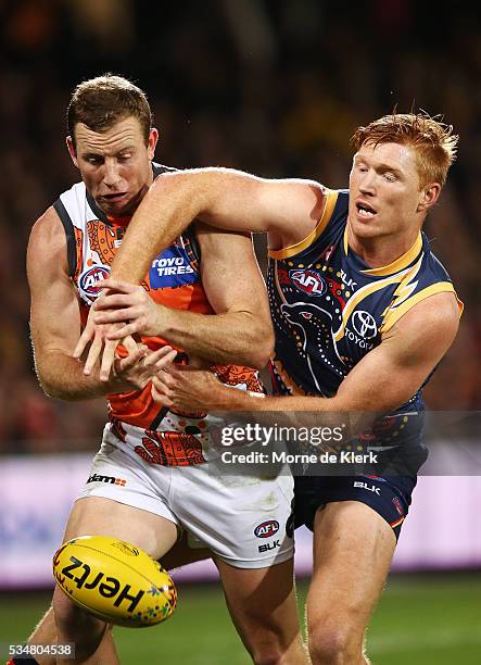 Steve Johnson of the Giants competes for the ball with Kyle Cheney of the Crows during the round 10 AFL match between the Adelaide Crows and the...