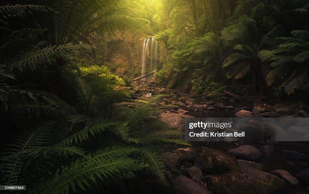 Beautiful waterfall, stream and lush undergrowth in Victoria, Australia