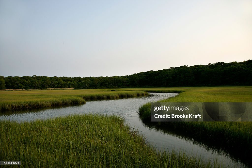 USA - Environment - Wetlands