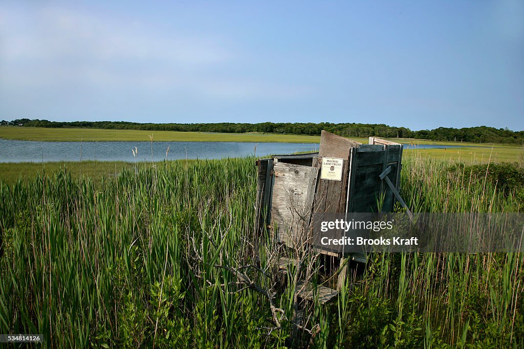 USA - Environment - Wetlands