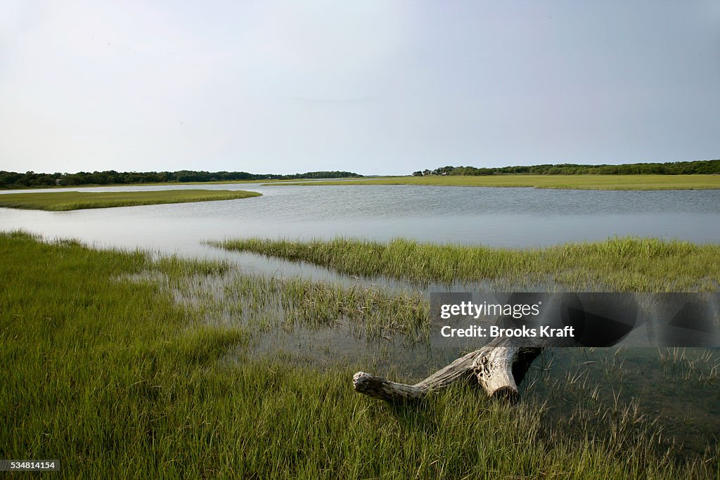 USA - Environment - Wetlands
