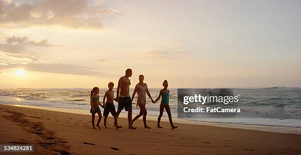 family on vacation spending time at the beach - fat guy on beach 個照片及圖片檔