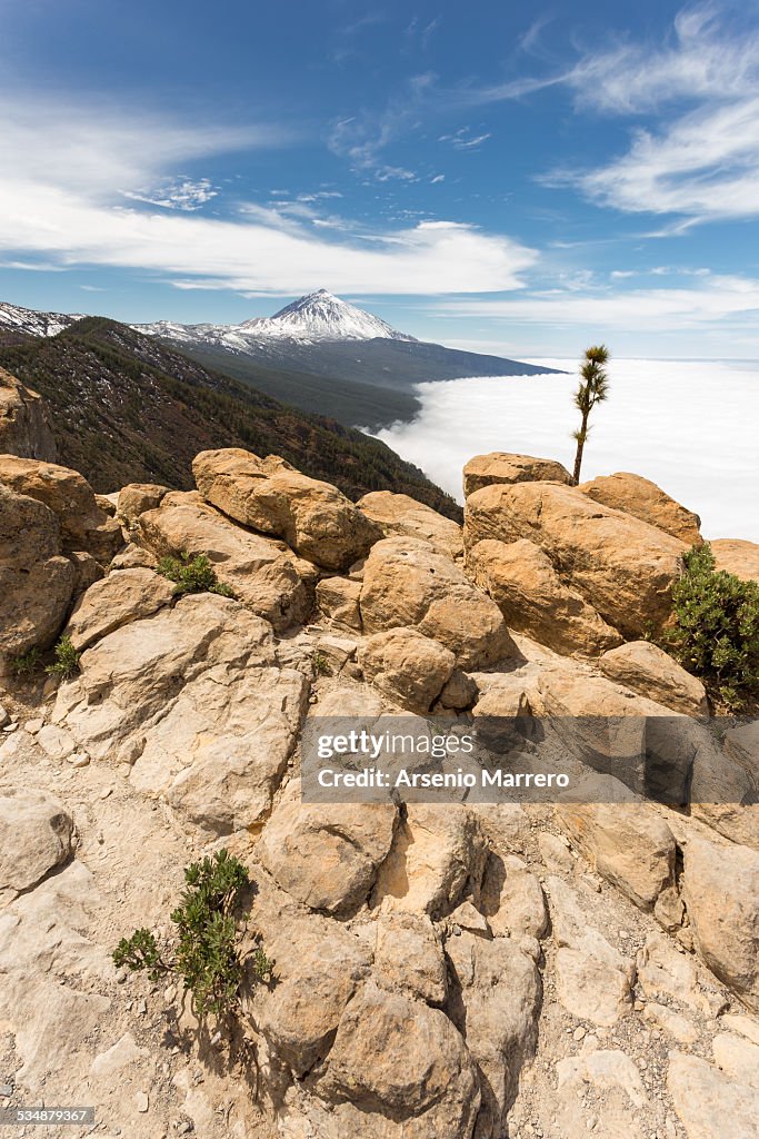 Teide in winter