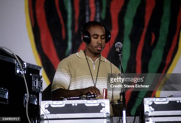 Tribe Called Quest's Q-Tip at performs at Lollapalooza, Chicago, Illinois, July 15, 1994.
